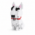 Bullterrier